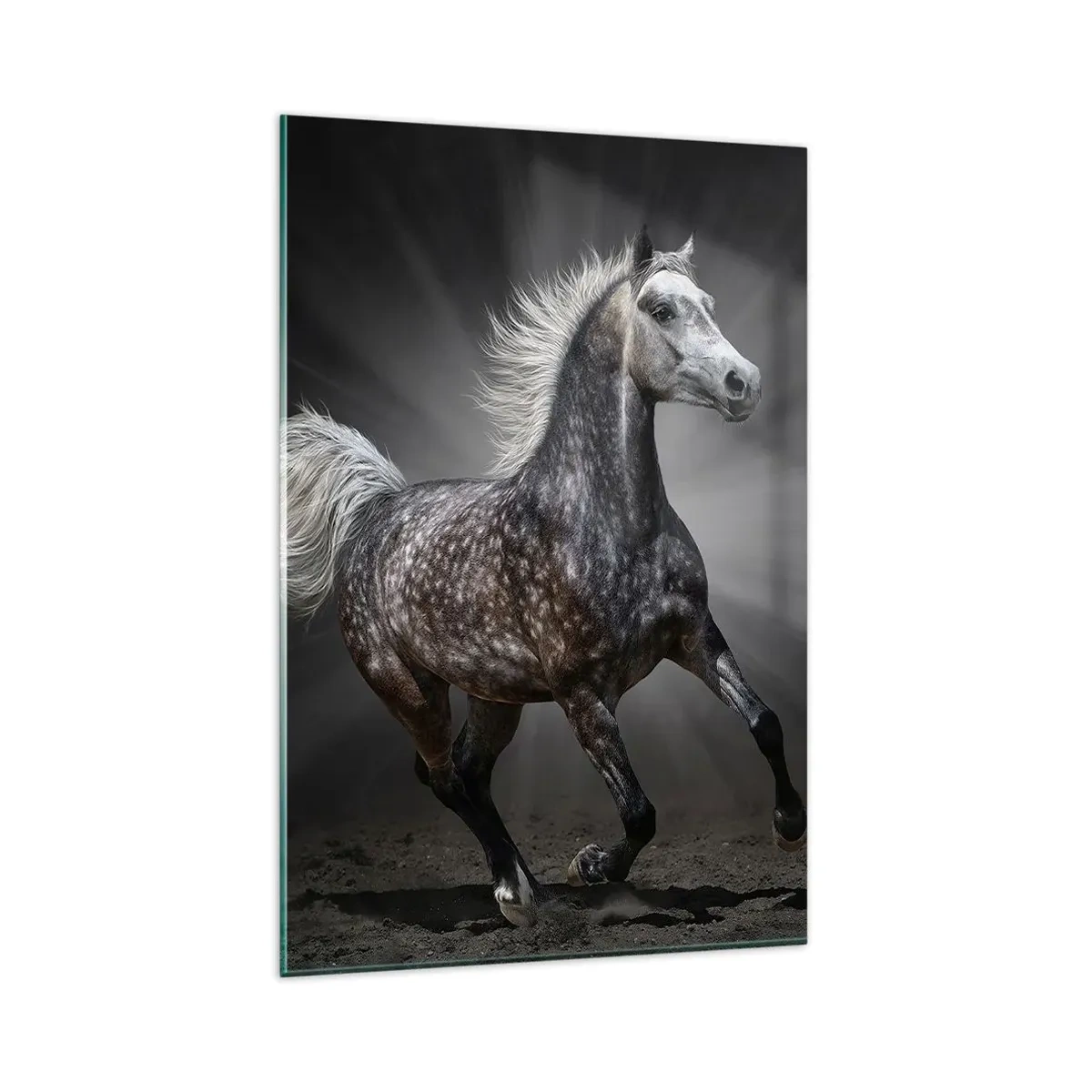 Cuadro sobre vidrio - Impresiones sobre Vidrio - Un caballo blanco galopando sobre un fondo oscuro. - 80x120cm - El gris es hermoso - Decoración de pared moderna para salón y dormitorio ARTTOR