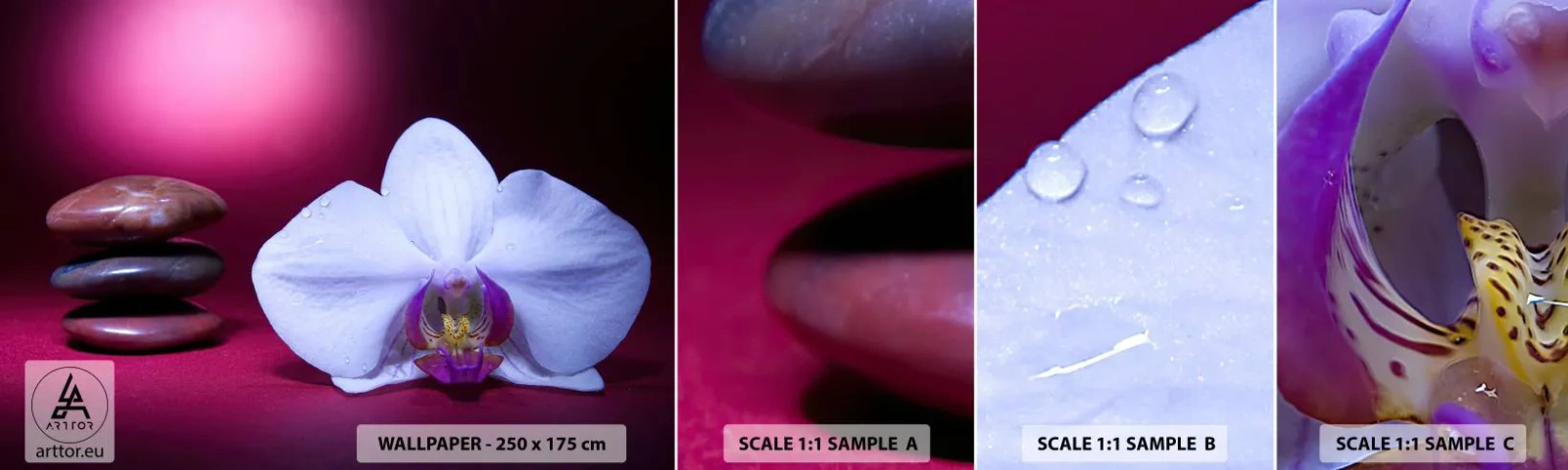 Muestra De Fotomural Standard Eco - Estudio de frescura en violeta - flores, Spa, piedras - 100x30 cm