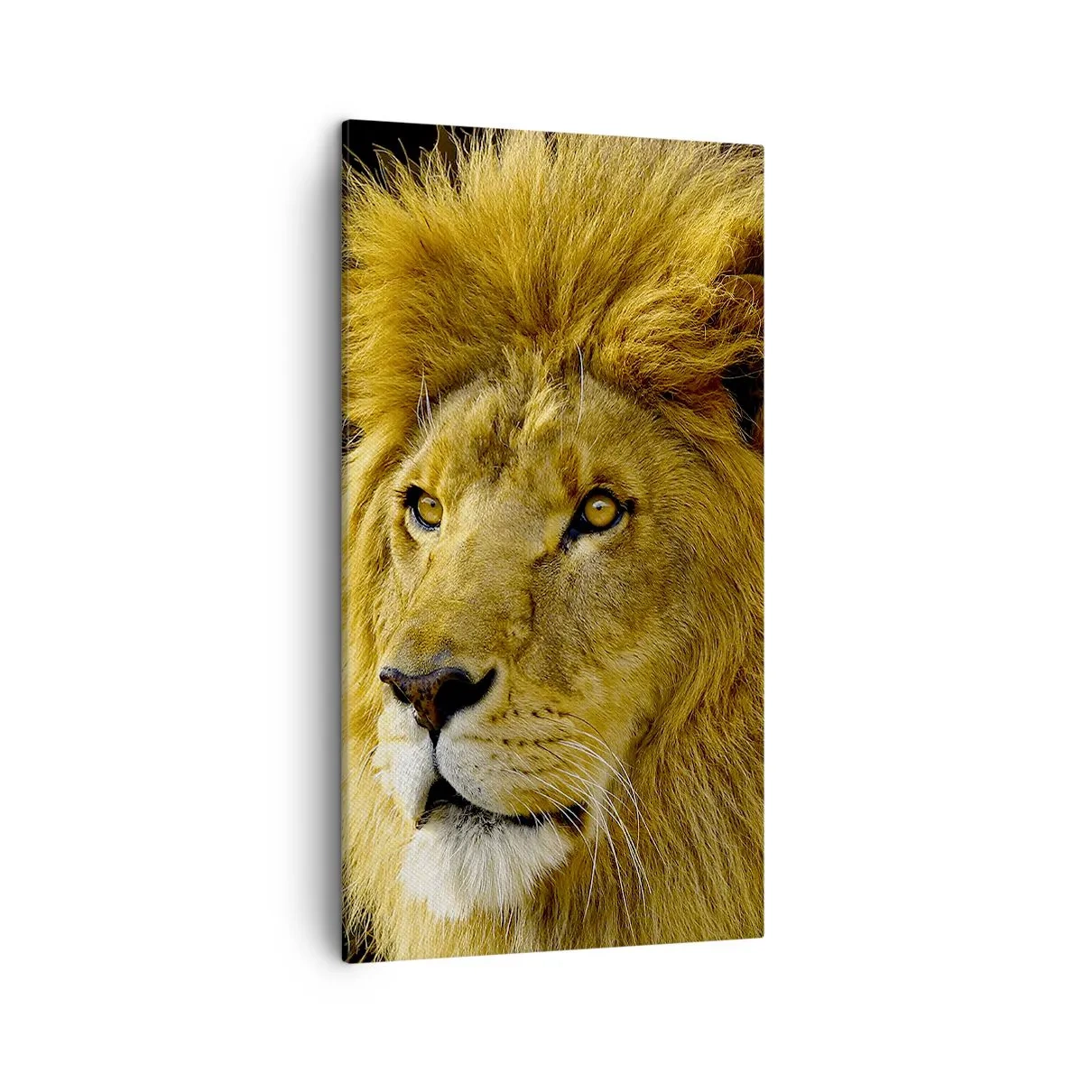 Cuadro sobre lienzo - Impresión de Imagen - Retrato de un rey - 45x80 cm