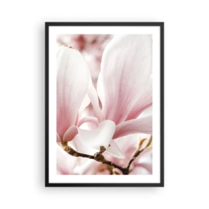 Póster en marco negro - Delicados pétalos de magnolia rosa sobre un fondo borroso - 50x70cm - Inmensidad de la ternura - Decoración de pared moderna para salón y dormitorio ARTTOR