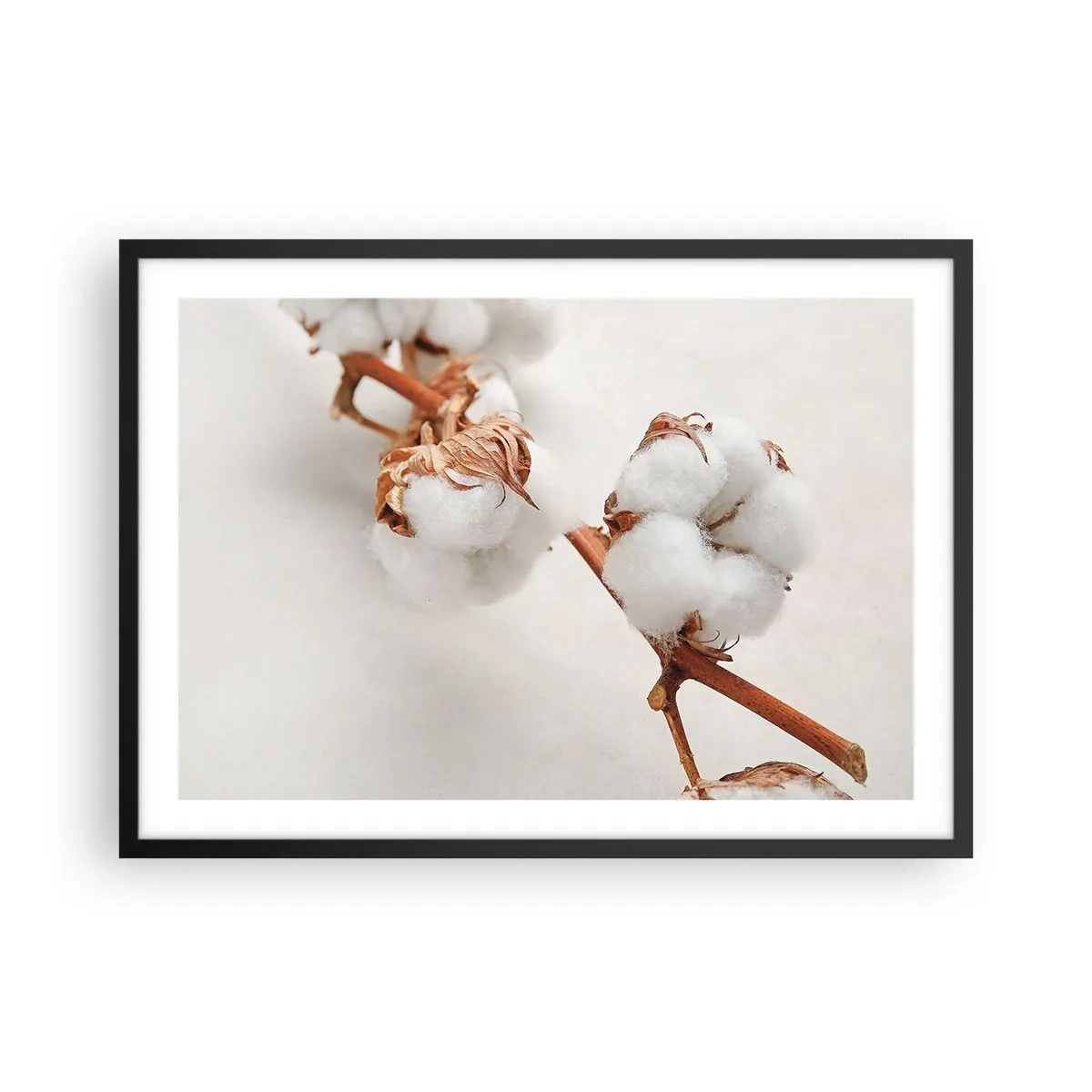 Póster en marco negro - Una ramita de algodón sobre un fondo sutil. - 70x50cm - Un suave tacto - Decoración de pared moderna para salón y dormitorio ARTTOR