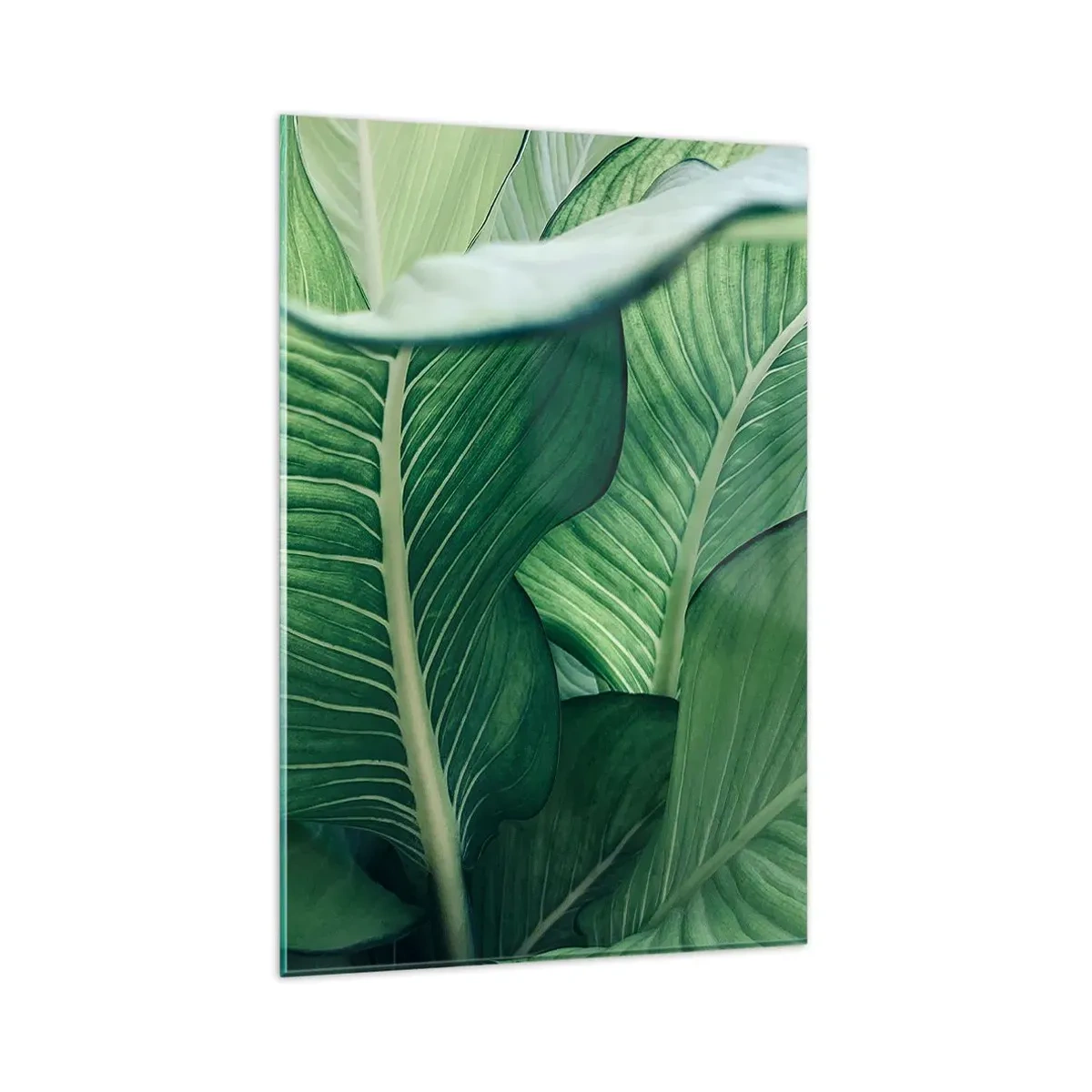 Cuadro sobre vidrio - Impresiones sobre Vidrio - Hojas verdes con detalles expresivos y estructura. - 80x120cm - Vida intensamente verde - Decoración de pared moderna para salón y dormitorio ARTTOR