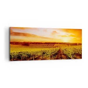Cuadro sobre lienzo - Impresión de Imagen - Viñedo al atardecer con tonos cálidos del cielo. - 120x50cm - Delicadamente afrutado con un toque de sol - Decoración de pared moderna para salón y dormitorio ARTTOR