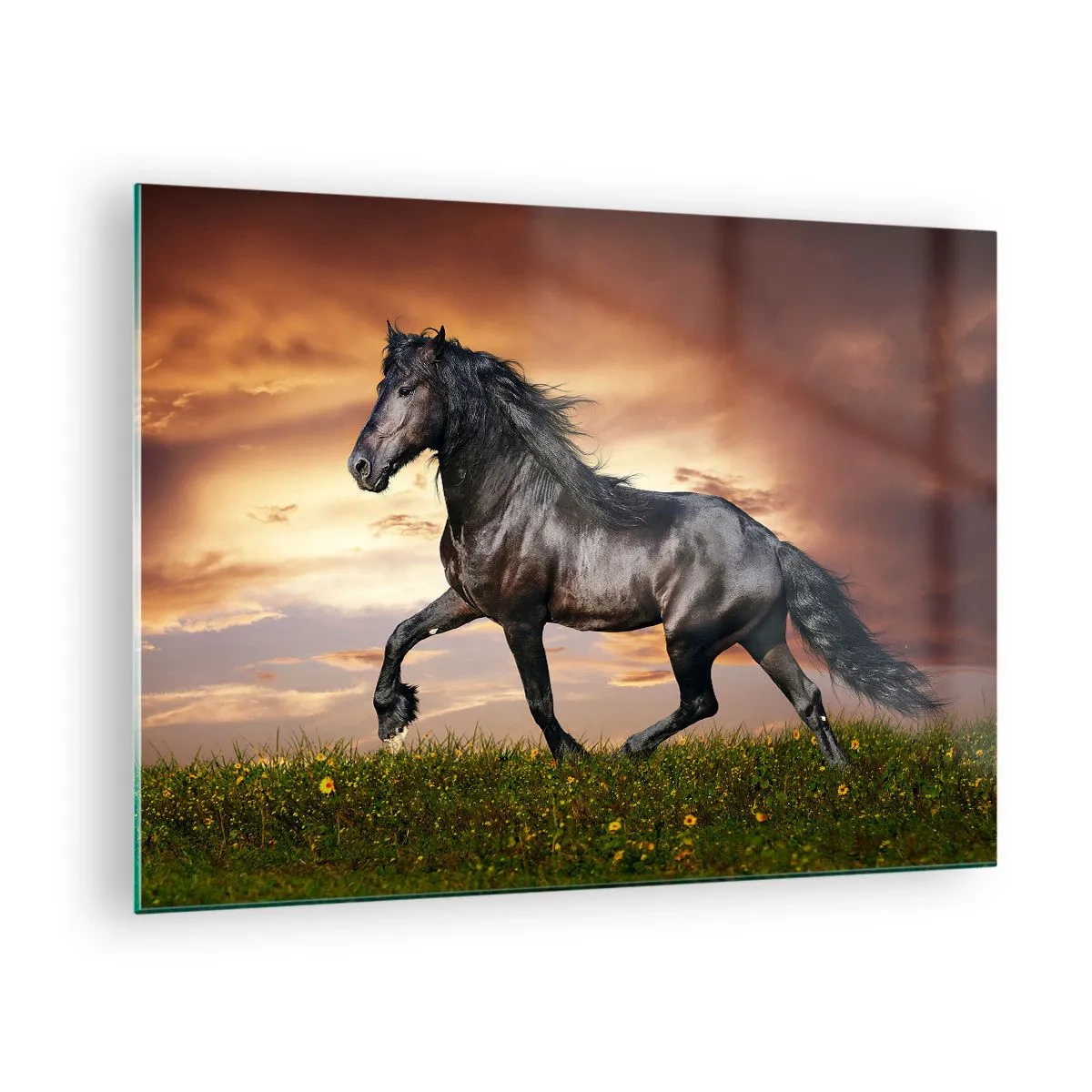 Cuadro sobre vidrio - Impresiones sobre Vidrio - Un caballo negro galopando contra el sol poniente. - 70x50cm - Príncipe negro - Decoración de pared moderna para salón y dormitorio ARTTOR