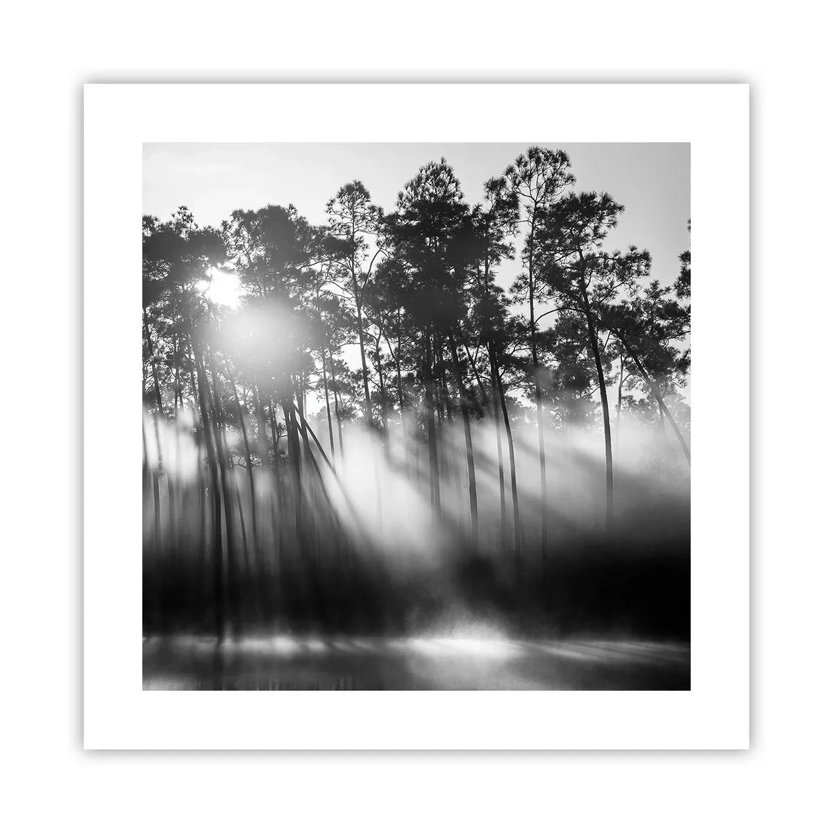 Póster - Sol imparable - 40x40 cm