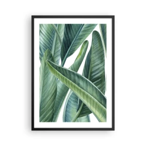 Póster en marco negro - Hojas de plátano verde en estilo acuarela - 50x70cm - Vegetación en estado puro - Decoración de pared moderna para salón y dormitorio ARTTOR