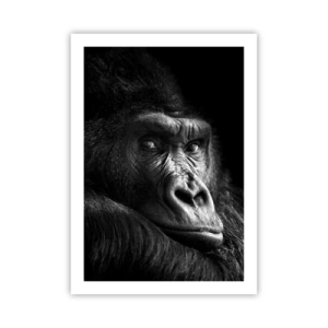 Póster - Retrato de un gorila sobre un fondo negro con gran detalle. - 50x70cm - ¿Y qué estás mirando? - Decoración de pared moderna para salón y dormitorio ARTTOR