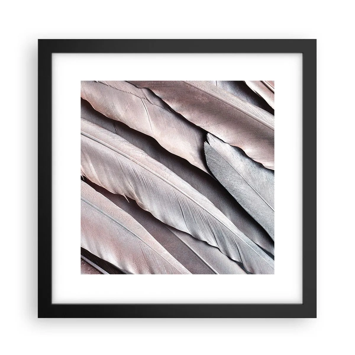 Póster en marco negro - En rosa plateado - 30x30 cm