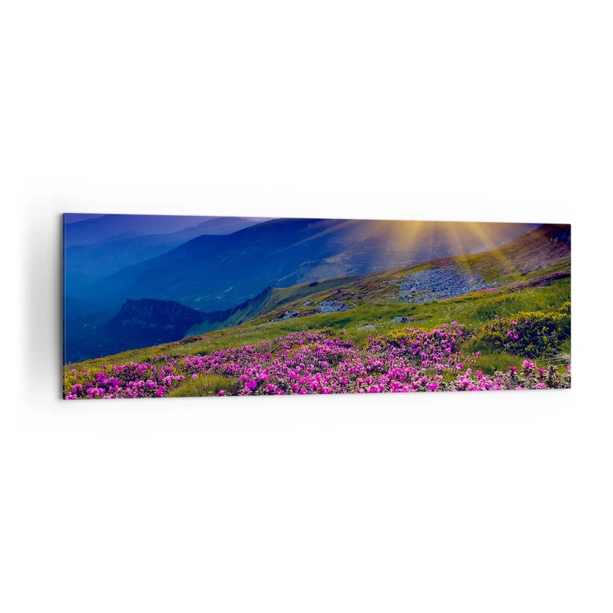Cuadro sobre lienzo - Impresión de Imagen - Un prado florido con vistas a las montañas durante la puesta de sol. - 160x50cm - ... Y el aroma a hierbas está por todas partes - Decoración de pared moderna para salón y dormitorio ARTTOR