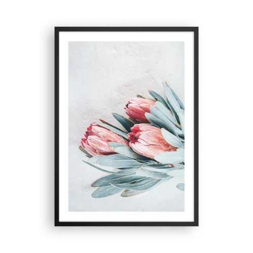 Póster en marco negro - Una sutil composición de flores de protea sobre un fondo claro. - 50x70cm - Avergonzada de su propia belleza - Decoración de pared moderna para salón y dormitorio ARTTOR