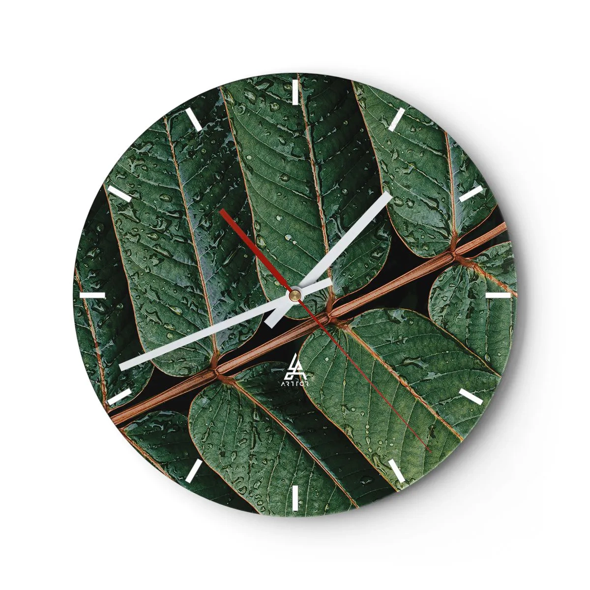 Reloj de pared - Reloj de vidrio - Primer plano de hojas con gotas de agua sobre un fondo oscuro - 30x30cm - En un ritmo verde - Decoración de pared moderna para salón, cocina y dormitorio ARTTOR