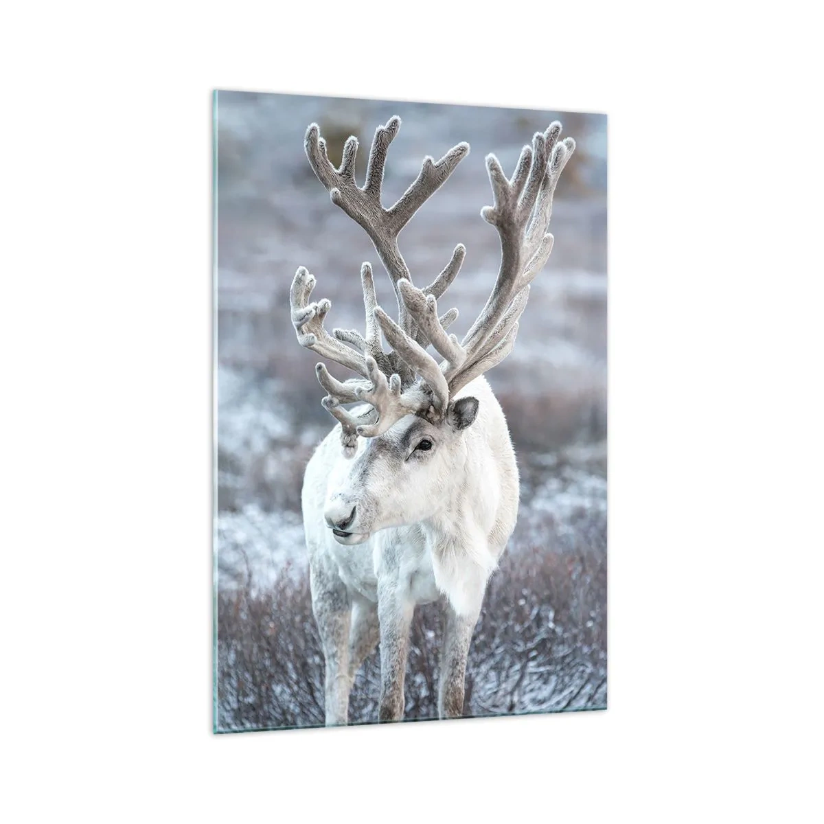 Cuadro sobre vidrio - Impresiones sobre Vidrio - Retrato al sol - 70x100 cm