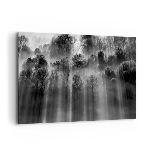 Cuadro sobre lienzo - Impresión de Imagen - Bosque blanco y negro a la luz de la mañana. - 120x80cm - En los flujos de luz - Decoración de pared moderna para salón y dormitorio ARTTOR