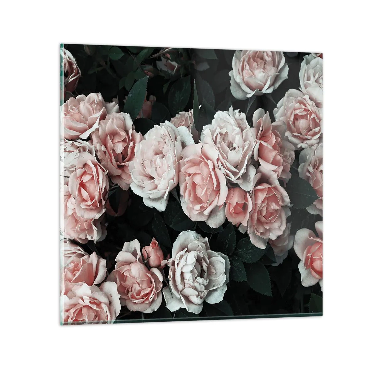Cuadro sobre vidrio - Impresiones sobre Vidrio - Conjunto de rosas - 30x30 cm