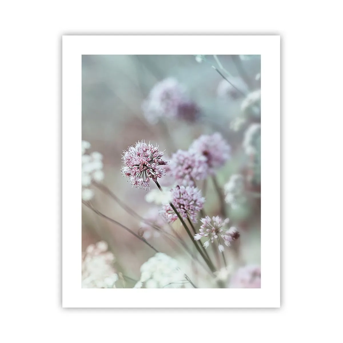 Póster - Dulces filigranas de hierbas - 40x50 cm