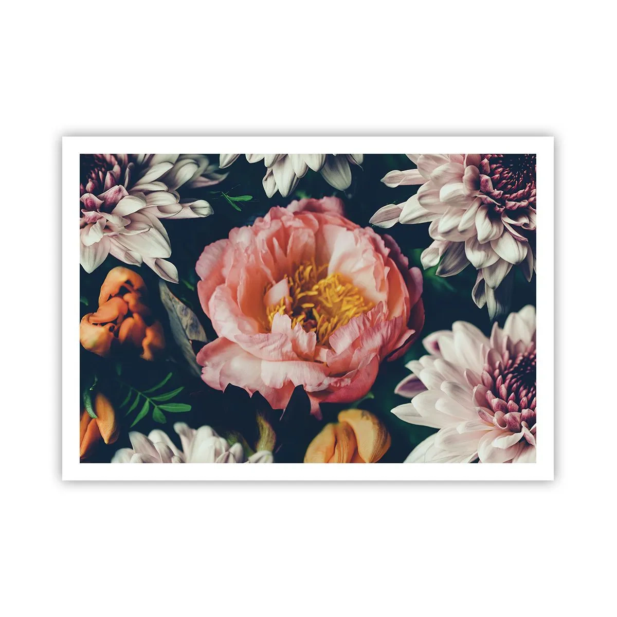 Póster - Arreglo floral con peonías y crisantemos sobre fondo oscuro. - 100x70cm - Con esplendor barroco - Decoración de pared moderna para salón y dormitorio ARTTOR
