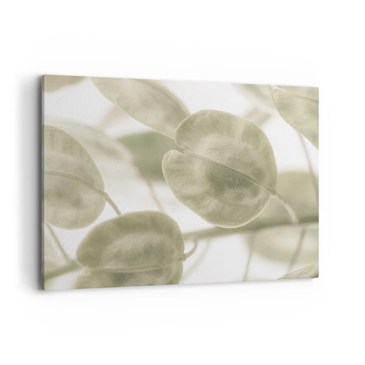 Cuadro sobre lienzo - Impresión de Imagen - Una delicada pintura de hojas en tonos pastel de verde sobre un fondo claro. - 120x80cm - Al principio de los tiempos había hojas... - Decoración de pared moderna para salón y dormitorio ARTTOR
