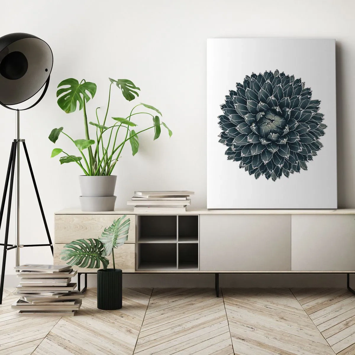 Cuadro sobre lienzo - Impresión de Imagen - Planta suculenta simétrica sobre un fondo blanco. - 50x70cm - Estrella del desierto - Decoración de pared moderna para salón y dormitorio ARTTOR