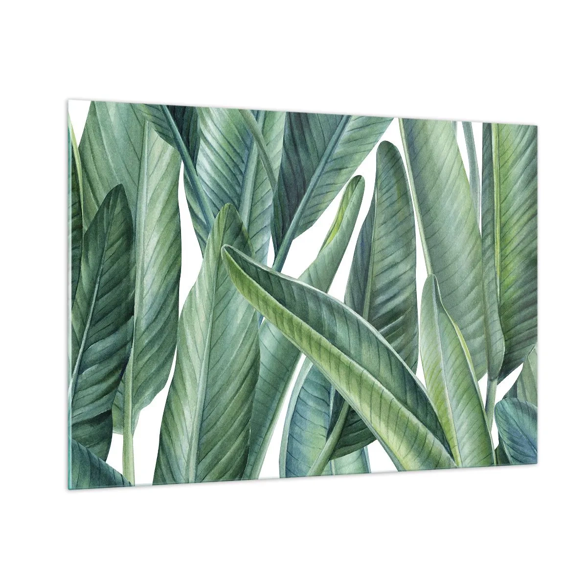 Cuadro sobre vidrio - Impresiones sobre Vidrio - Hojas tropicales en tonos verdes. - 100x70cm - Vegetación en estado puro - Decoración de pared moderna para salón y dormitorio ARTTOR