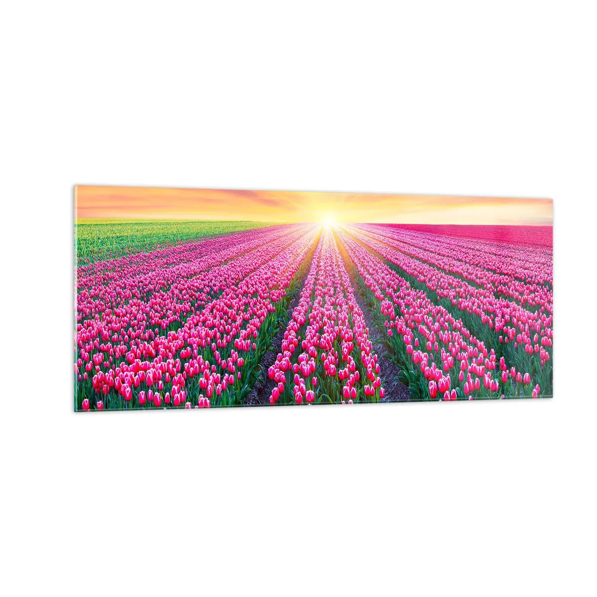 Cuadro sobre vidrio - Impresiones sobre Vidrio - Granja de belleza - 100x40 cm