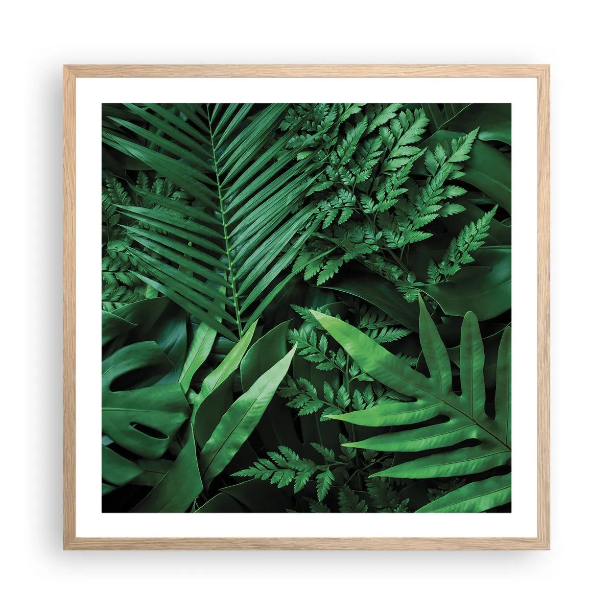 Póster en marco roble claro - Abrazo verde - 60x60 cm