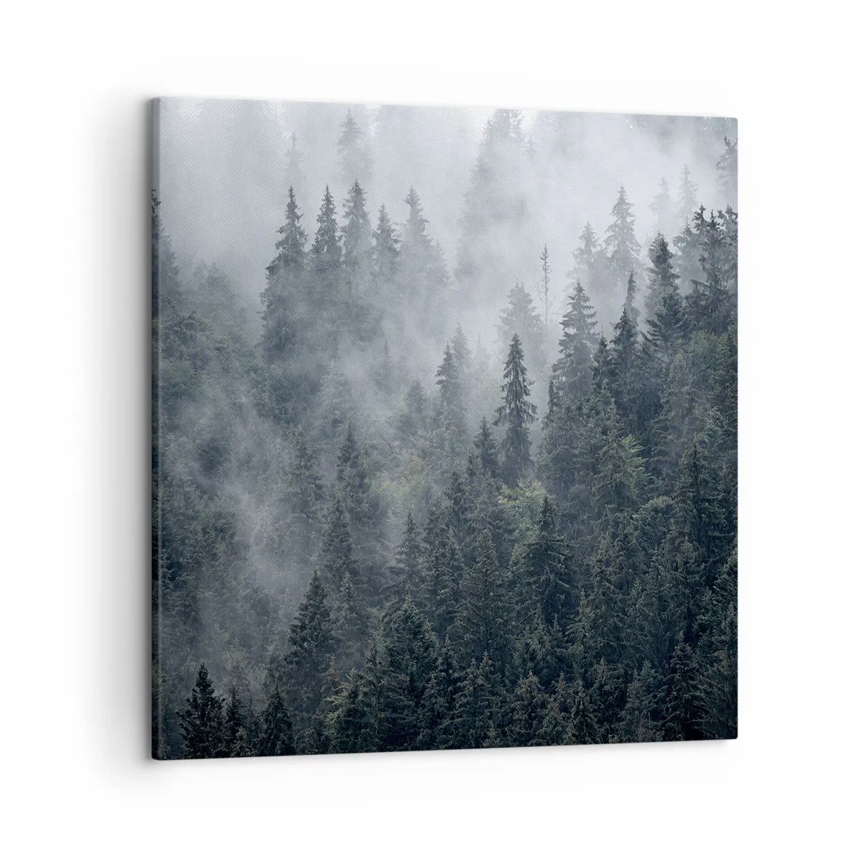 Cuadro sobre lienzo - Impresión de Imagen - Amanecer en el bosque - 50x50 cm