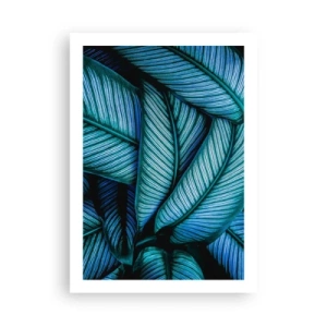 Póster - Las fascinantes hojas de color verde azulado del banano. - 50x70cm - Líneas de vida - Decoración de pared moderna para salón y dormitorio ARTTOR