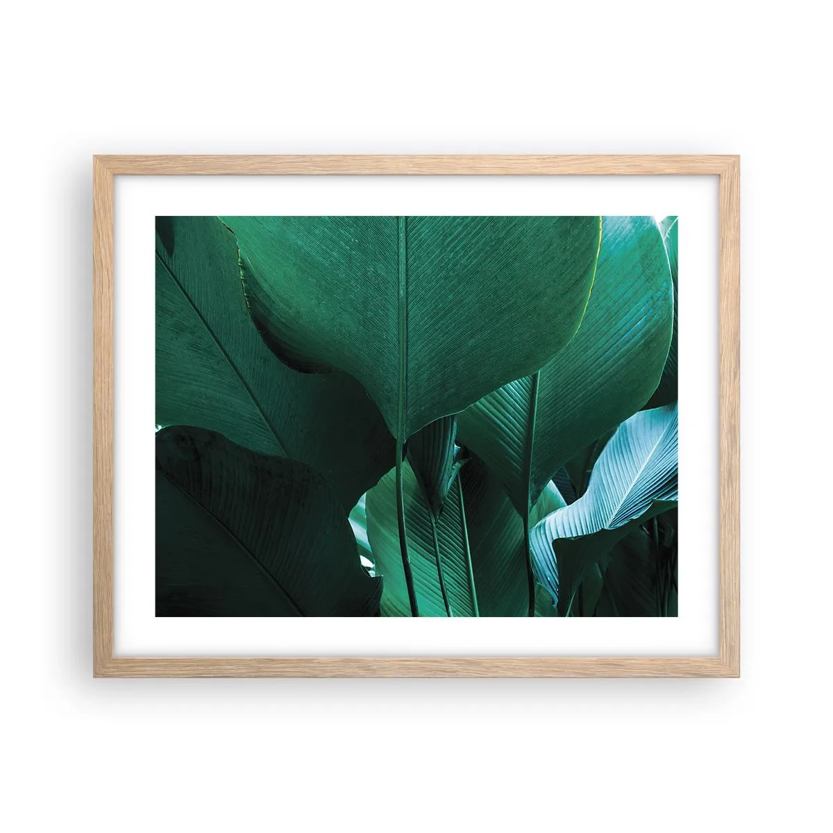 Póster en marco roble claro - De cara a la luz - 50x40 cm
