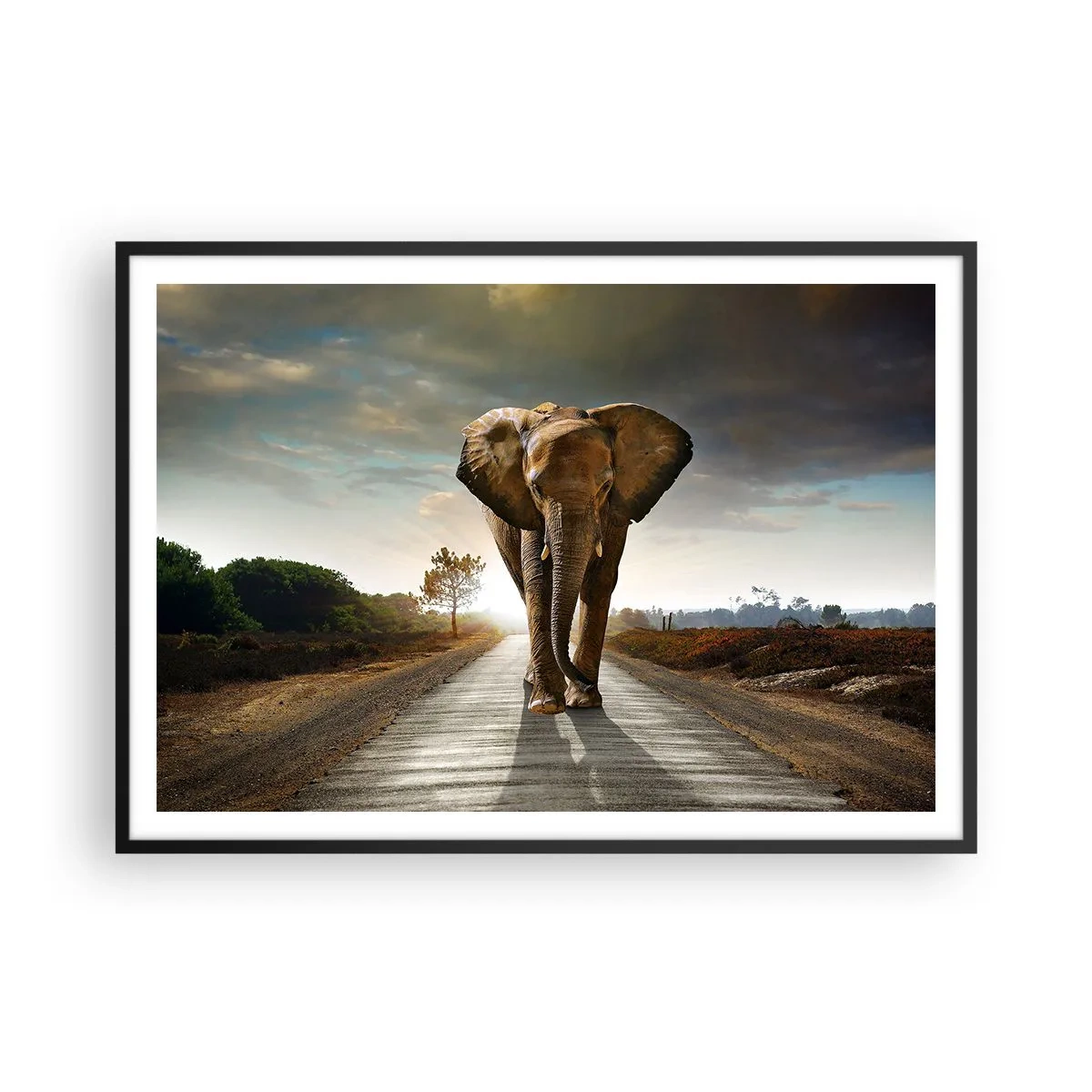 Póster en marco negro - Un elefante caminando por una carretera a través de un paisaje al atardecer. - 100x70cm - Y para nada en un almacén de porcelana - Decoración de pared moderna para salón y dormitorio ARTTOR