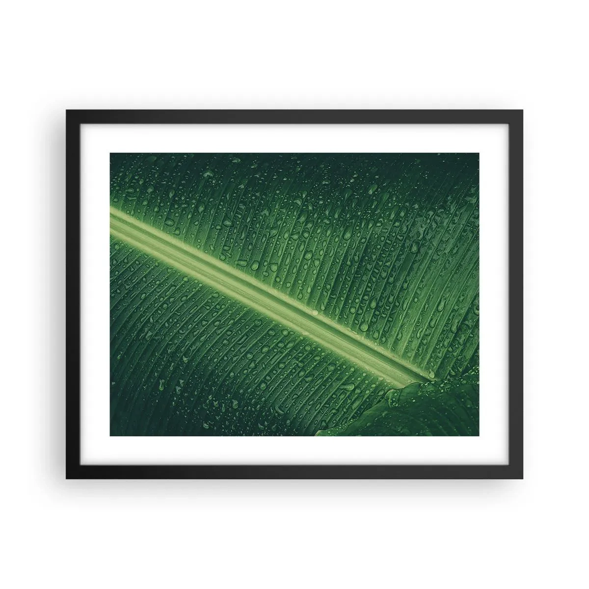 Póster en marco negro - Estructura del verde - 50x40 cm