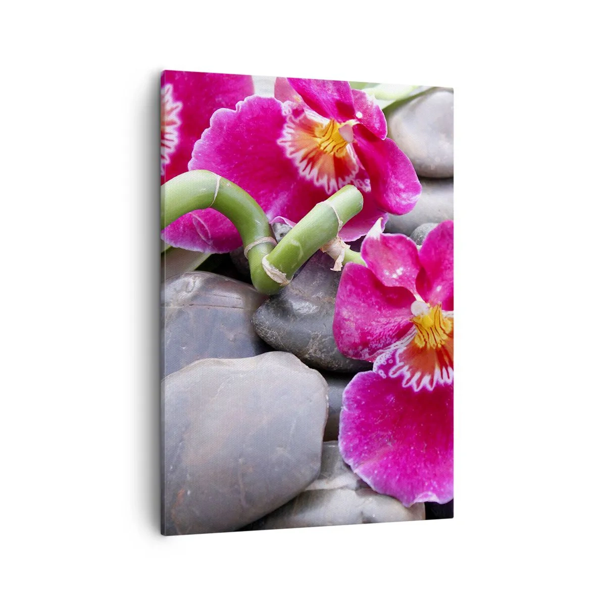 Cuadro sobre lienzo - Impresión de Imagen - Orquídeas rosas sobre un fondo de piedras lisas. - 50x70cm - Frío y calor - Decoración de pared moderna para salón y dormitorio ARTTOR