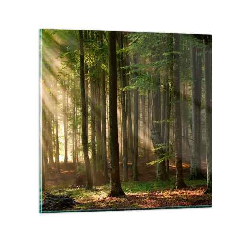 Cuadro sobre vidrio - Impresiones sobre Vidrio - Radiante en una mañana de primavera - 30x30 cm