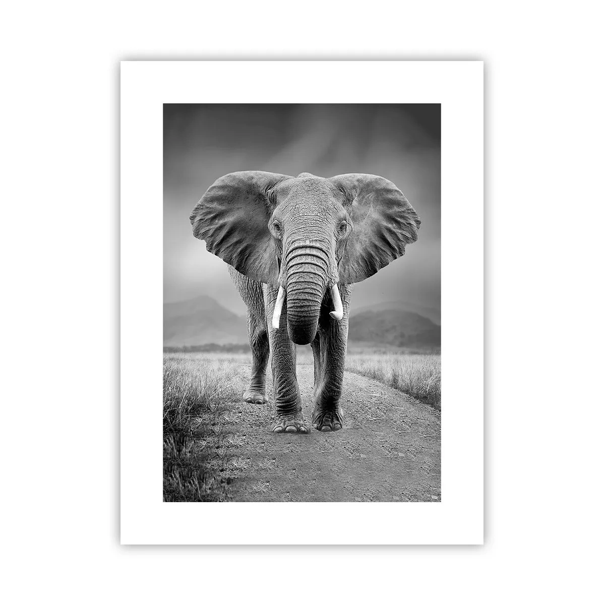 Póster - El anfitrión da la bienvenida - 30x40 cm