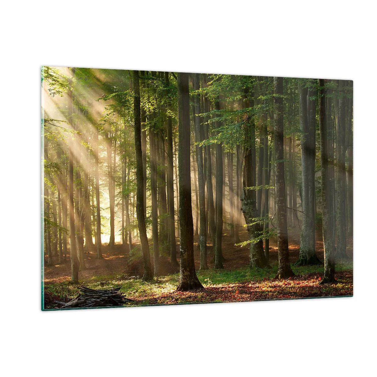 Cuadro sobre vidrio - Impresiones sobre Vidrio - Los rayos del sol brillan a través de los árboles del bosque. - 120x80cm - Radiante en una mañana de primavera - Decoración de pared moderna para salón y dormitorio ARTTOR