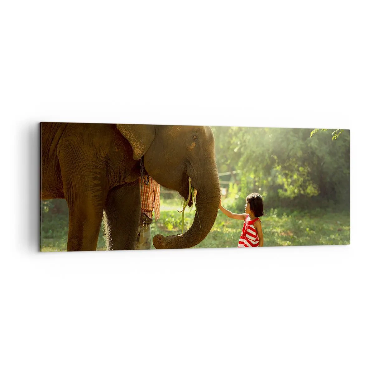 Cuadro sobre lienzo - Impresión de Imagen - Una niña con un vestido rojo tocando un elefante en el bosque. - 140x50cm - El poder de la amistad - Decoración de pared moderna para salón y dormitorio ARTTOR