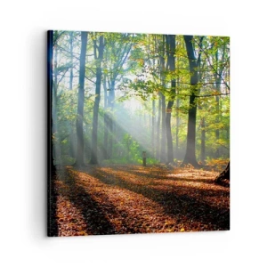 Cuadro sobre lienzo - Impresión de Imagen - Resplandores y sombras - 60x60 cm