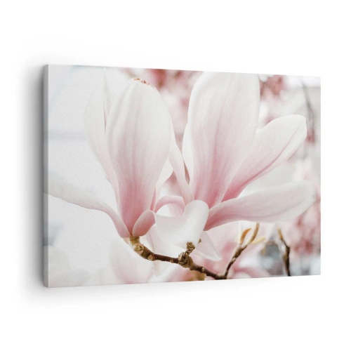 Cuadro sobre lienzo - Impresión de Imagen - Delicadas flores de magnolia en tonos pastel. - 70x50cm - Inmensidad de la ternura - Decoración de pared moderna para salón y dormitorio ARTTOR