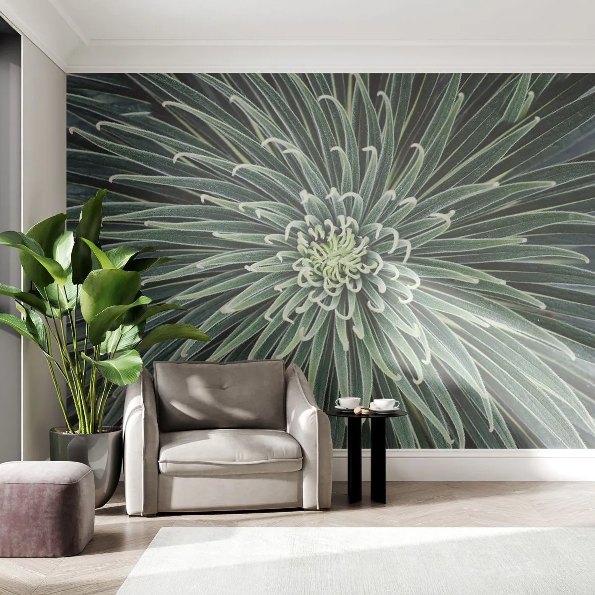 Fotomural Premium Canvas - El nacimiento de una estrella - flor de agave, Agave, flores - 250x175 cm