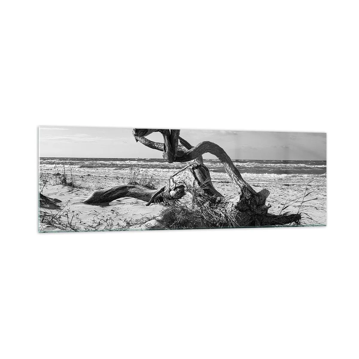 Cuadro sobre vidrio - Impresiones sobre Vidrio - Paisaje en blanco y negro con un árbol muerto en la playa. - 160x50cm - Escultura marina - Decoración de pared moderna para salón y dormitorio ARTTOR