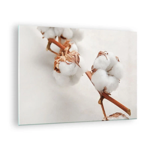 Cuadro sobre vidrio - Impresiones sobre Vidrio - Primer plano de una rama de algodón sobre un fondo claro - 70x50cm - Un suave tacto - Decoración de pared moderna para salón y dormitorio ARTTOR
