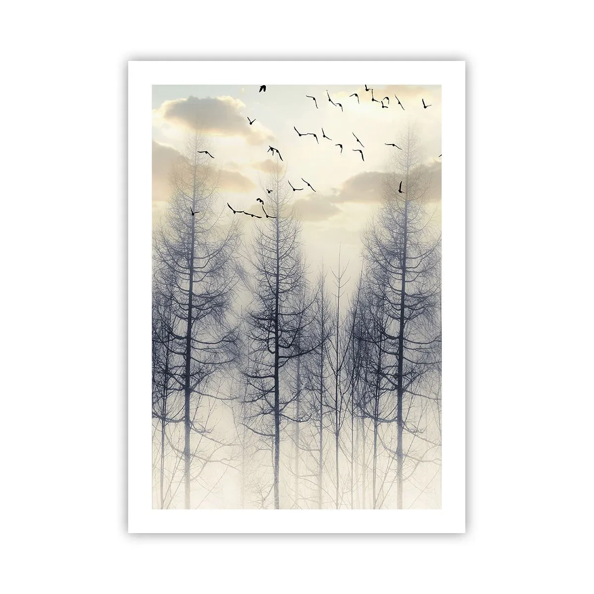 Póster - Un bosque brumoso con árboles altos y pájaros volando por la mañana. - 50x70cm - Espíritus del bosque - Decoración de pared moderna para salón y dormitorio ARTTOR