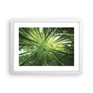 Póster en marco blanco - En un bosquecillo de bambú - 40x30 cm
