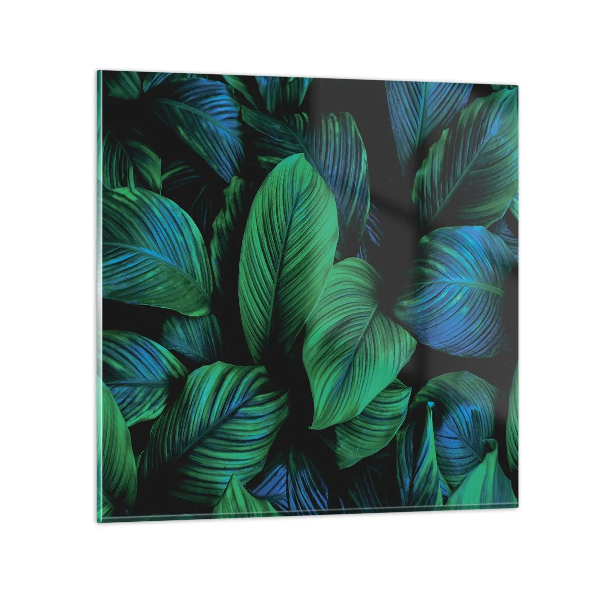 Cuadro sobre vidrio - Impresiones sobre Vidrio - En la multitud verde - 60x60 cm