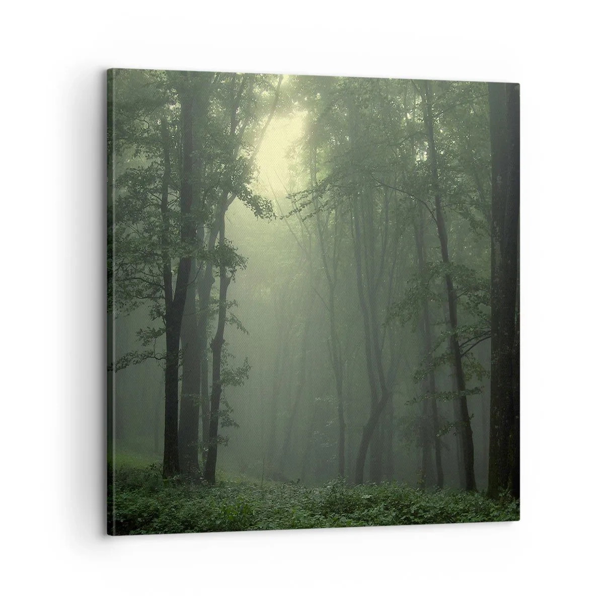 Cuadro sobre lienzo - Impresión de Imagen - Antes de que se despierte el bosque - 60x60 cm