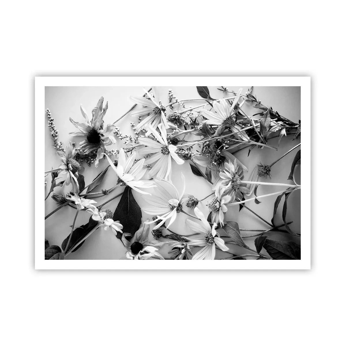 Póster - Arreglos florales en blanco y negro en un sutil estilo artístico. - 100x70cm - Un no ramo de flores - Decoración de pared moderna para salón y dormitorio ARTTOR