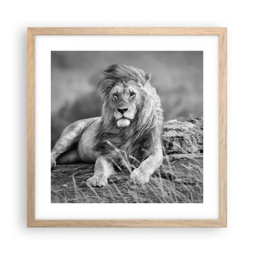 Póster en marco roble claro - La siesta real - 40x40 cm