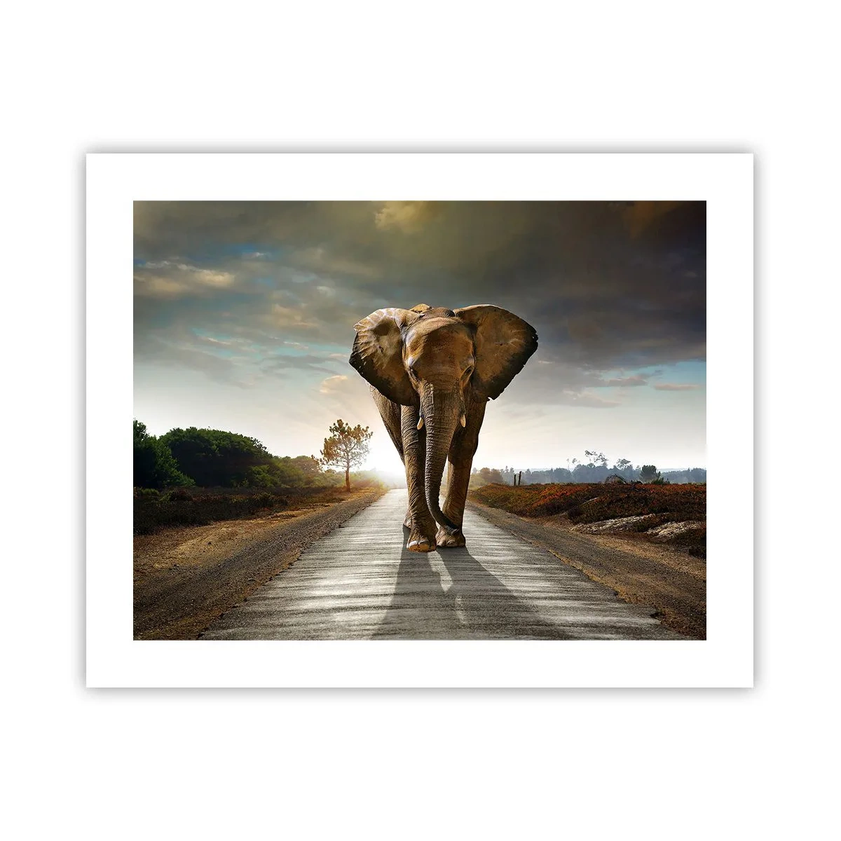 Póster - Y para nada en un almacén de porcelana - 50x40 cm