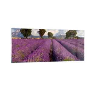 Cuadro sobre vidrio - Impresiones sobre Vidrio - Campos de lavanda - 100x40 cm