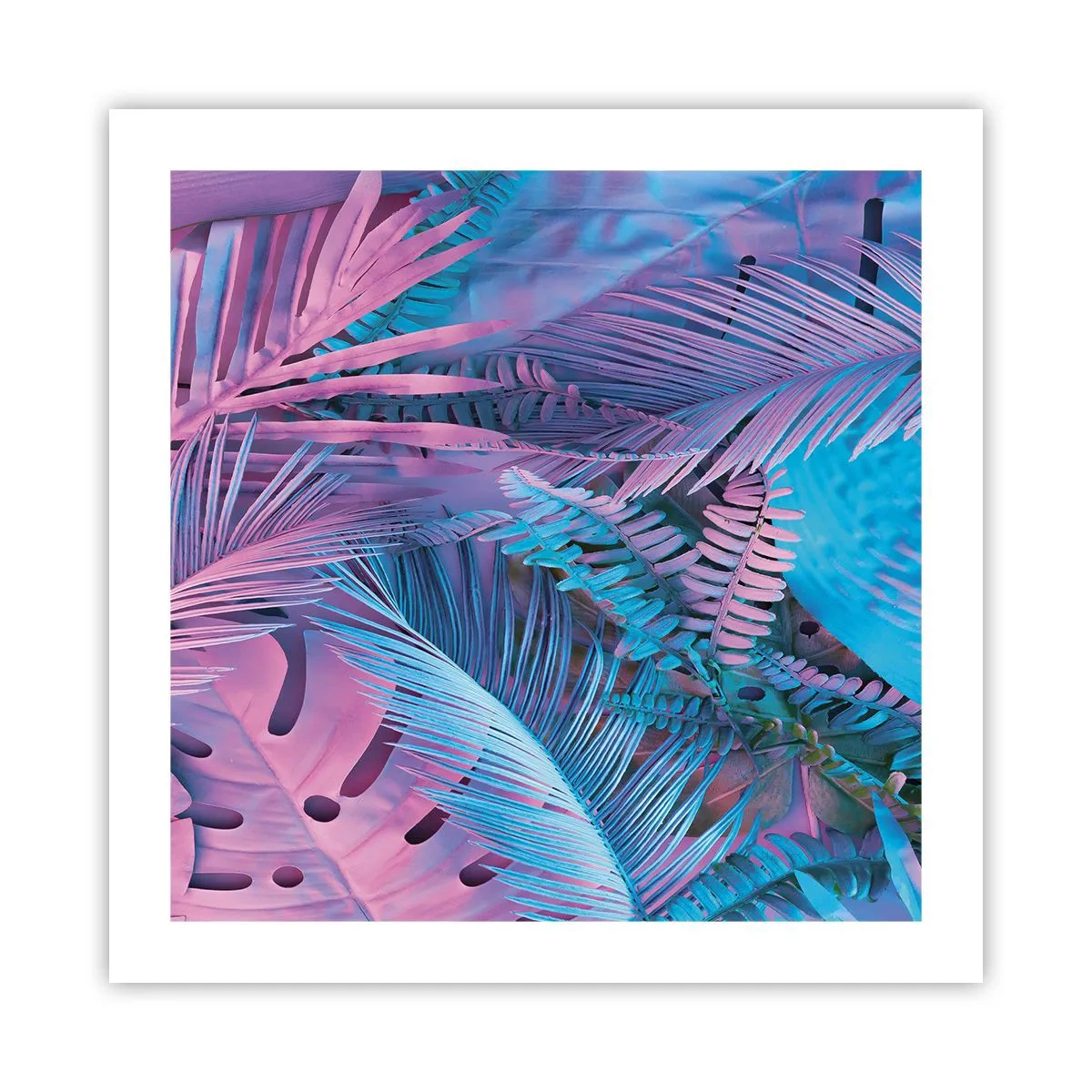 Póster - Trópicos en rosa y azul - 50x50 cm