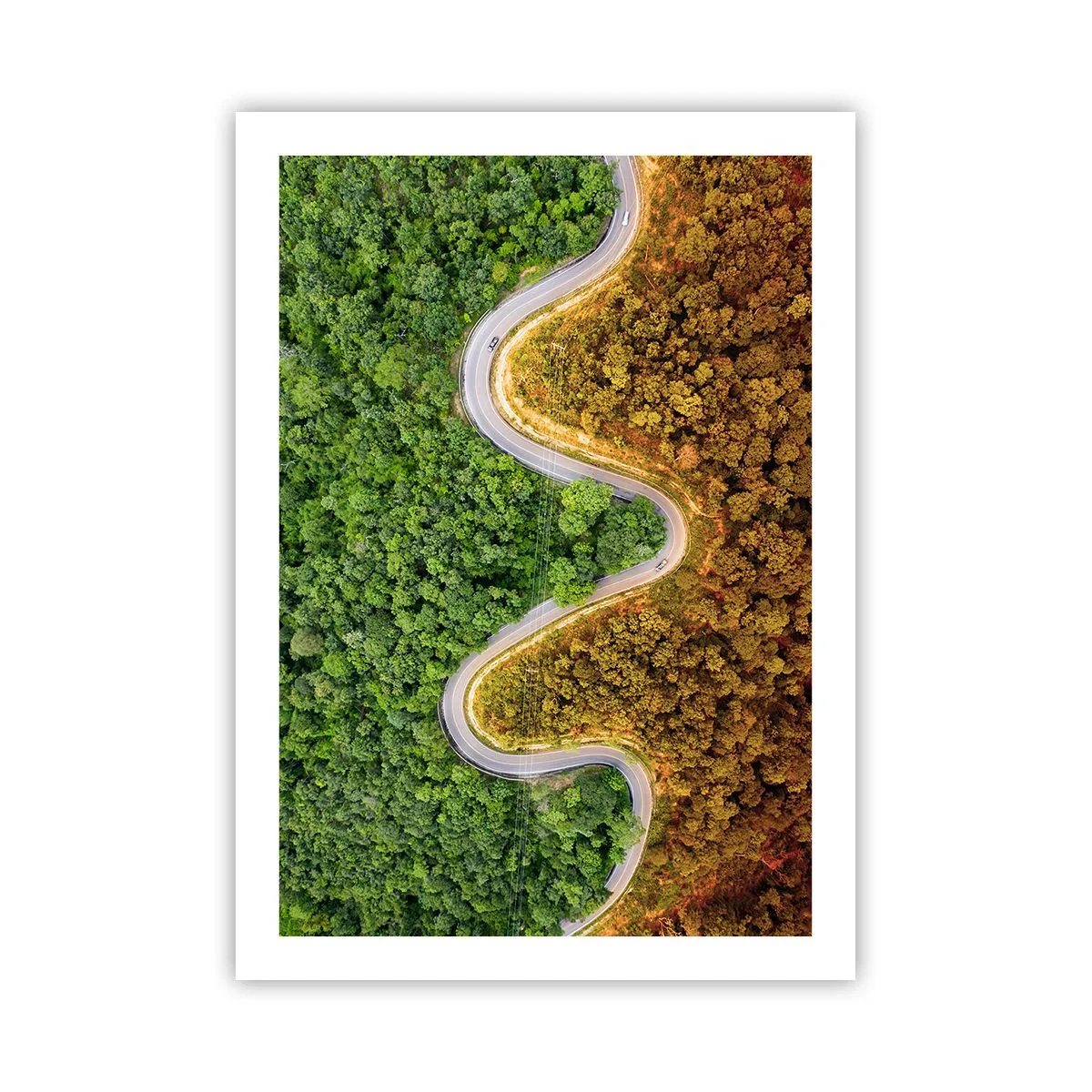 Póster - Un camino que serpentea a través de un bosque dividido en partes verdes y otoñales. - 50x70cm - Frontera serpenteante - Decoración de pared moderna para salón y dormitorio ARTTOR